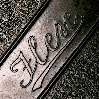 Ilex