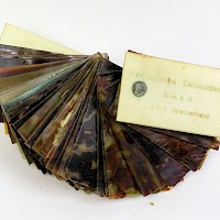 Musterkollektion