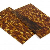 Celluloidplatte