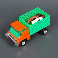 Viehtransporter
