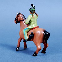 Indianer mit Pferd