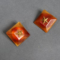 Ohrclips
