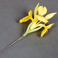 Musterkarte für Kunstblumen