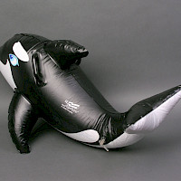 Schwimmtier Orca