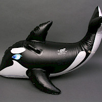 Schwimmtier Orca